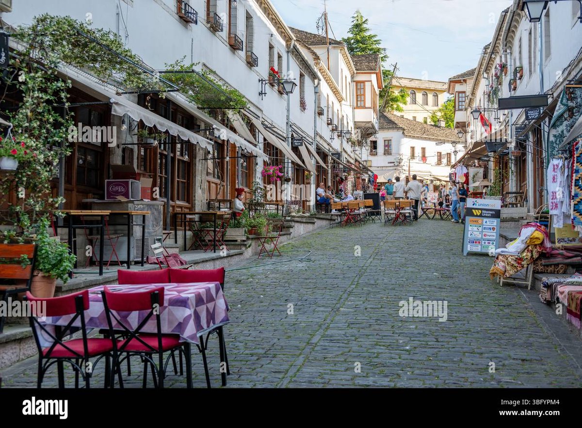 How Old Is Nico Robin In Bungo Stray Dogs? Shes A One